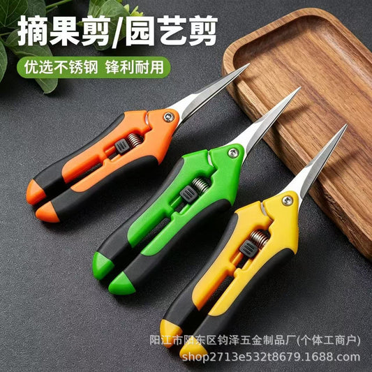 Stainless Steel Grape & Fruit Harvest Snips